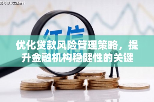 洋县优化贷款风险管理策略，提升金融机构稳健性的关键