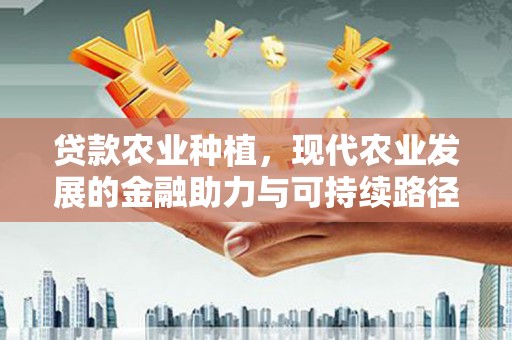 洋县贷款农业种植，现代农业发展的金融助力与可持续路径