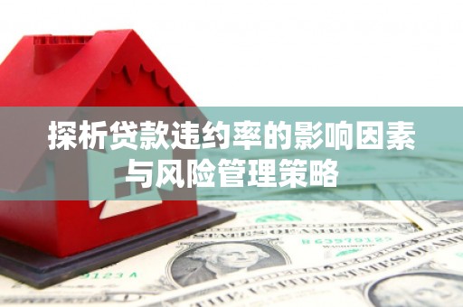 洋县探析贷款违约率的影响因素与风险管理策略