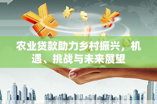 洋县农业贷款助力乡村振兴，机遇、挑战与未来展望