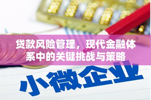 洋县贷款风险管理，现代金融体系中的关键挑战与策略