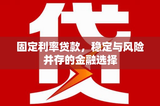 洋县固定利率贷款，稳定与风险并存的金融选择