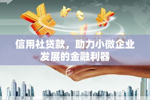 洋县信用社贷款，助力小微企业发展的金融利器
