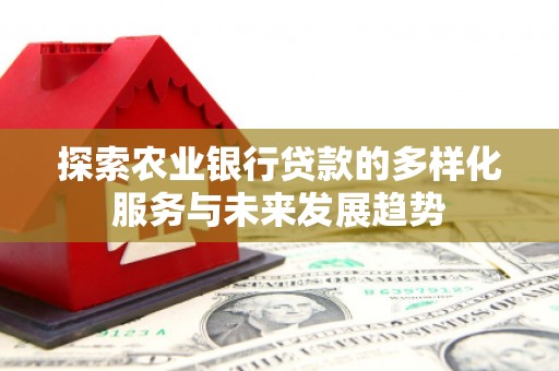 洋县探索农业银行贷款的多样化服务与未来发展趋势