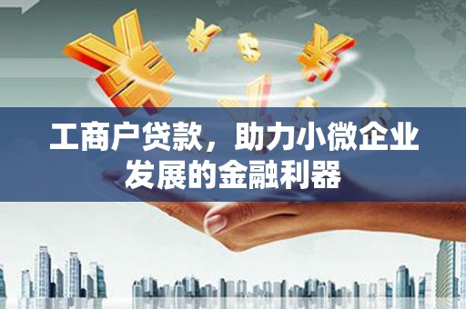洋县工商户贷款，助力小微企业发展的金融利器