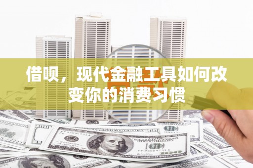 洋县借呗，现代金融工具如何改变你的消费习惯