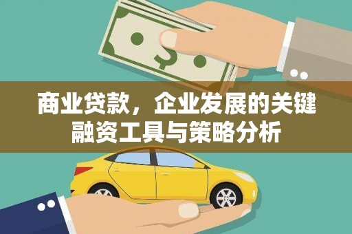 洋县商业贷款，企业发展的关键融资工具与策略分析