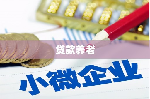 洋县贷款养老