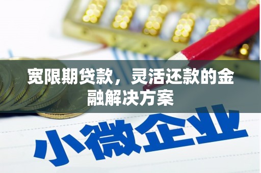 洋县宽限期贷款，灵活还款的金融解决方案