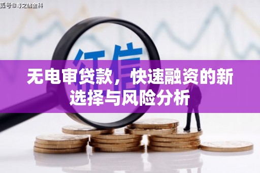 洋县无电审贷款，快速融资的新选择与风险分析