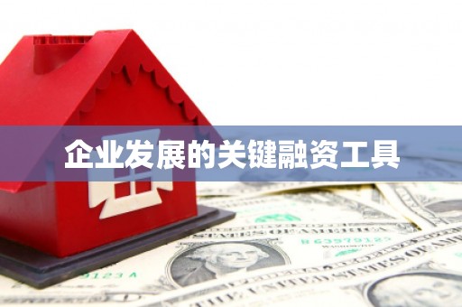 洋县企业发展的关键融资工具