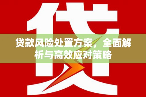 洋县贷款风险处置方案，全面解析与高效应对策略