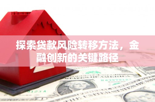洋县探索贷款风险转移方法，金融创新的关键路径