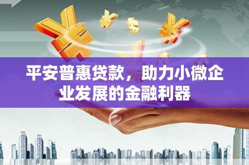 洋县平安普惠贷款，助力小微企业发展的金融利器