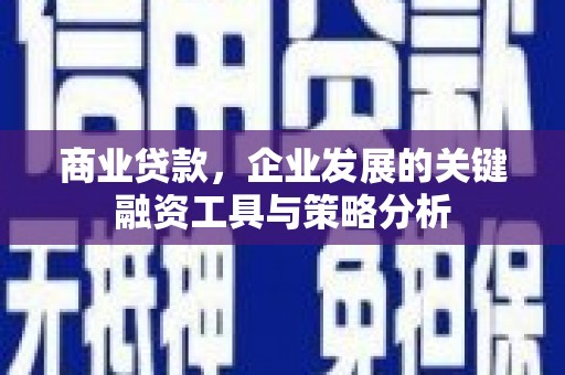 洋县商业贷款，企业发展的关键融资工具与策略分析