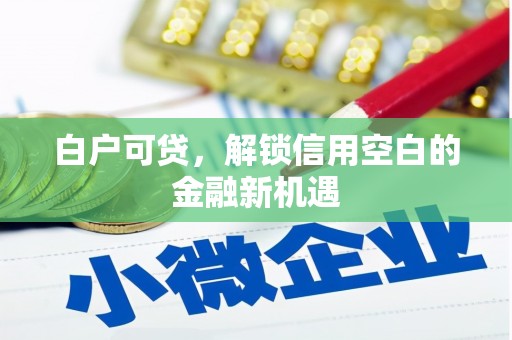 洋县白户可贷，解锁信用空白的金融新机遇