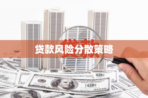 洋县贷款风险分散策略