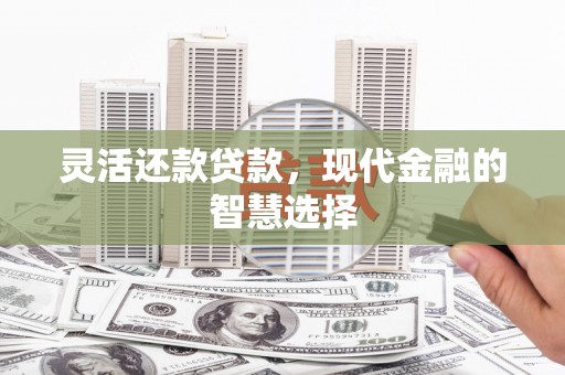 洋县灵活还款贷款，现代金融的智慧选择