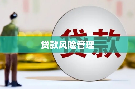 洋县贷款风险管理