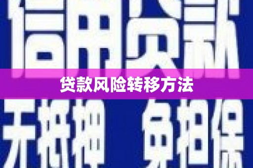 洋县贷款风险转移方法