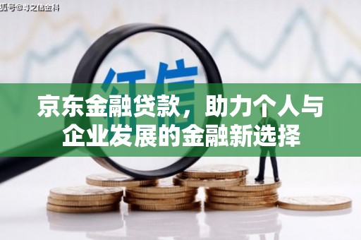 洋县京东金融贷款，助力个人与企业发展的金融新选择