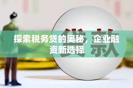 洋县探索税务贷的奥秘，企业融资新选择
