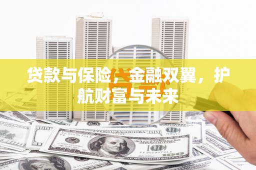 洋县贷款与保险，金融双翼，护航财富与未来