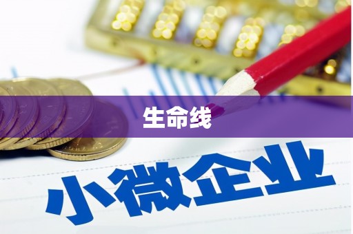 洋县生命线