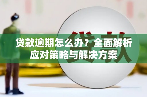 洋县贷款逾期怎么办？全面解析应对策略与解决方案
