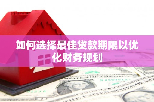 洋县如何选择最佳贷款期限以优化财务规划