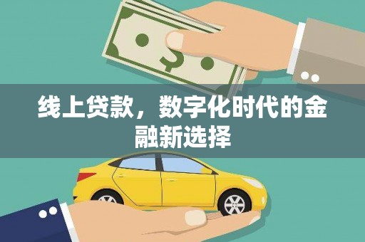 洋县线上贷款，数字化时代的金融新选择
