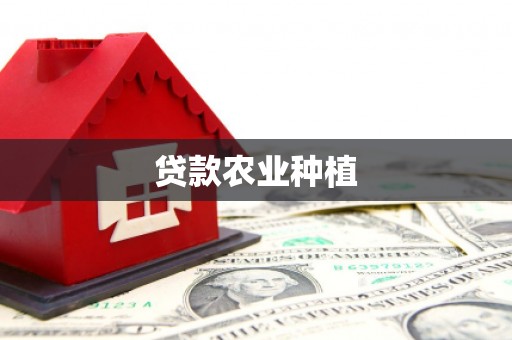 洋县贷款农业种植