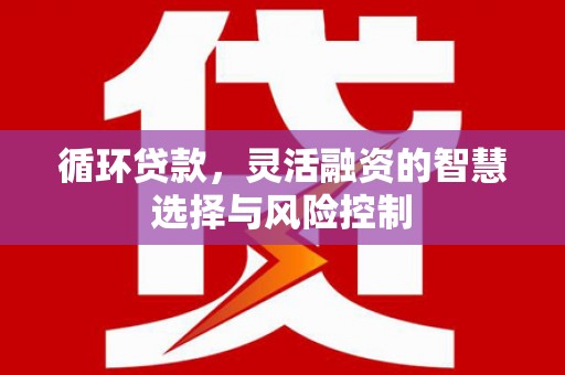 洋县循环贷款，灵活融资的智慧选择与风险控制