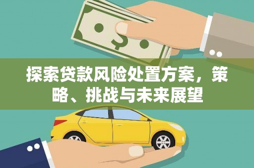 洋县探索贷款风险处置方案，策略、挑战与未来展望