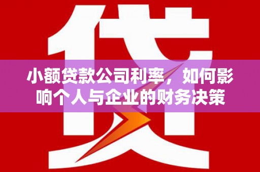 洋县小额贷款公司利率，如何影响个人与企业的财务决策