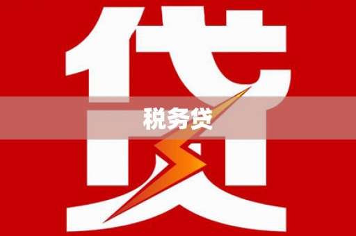 洋县税务贷