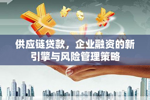 洋县供应链贷款，企业融资的新引擎与风险管理策略