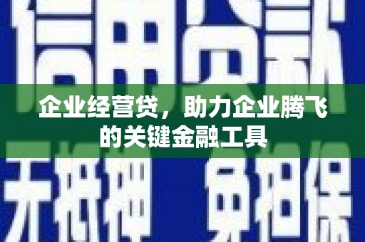 洋县企业经营贷，助力企业腾飞的关键金融工具