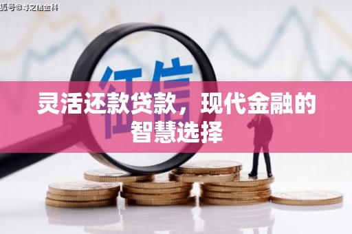 洋县灵活还款贷款，现代金融的智慧选择