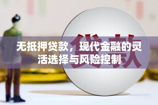 洋县无抵押贷款，现代金融的灵活选择与风险控制