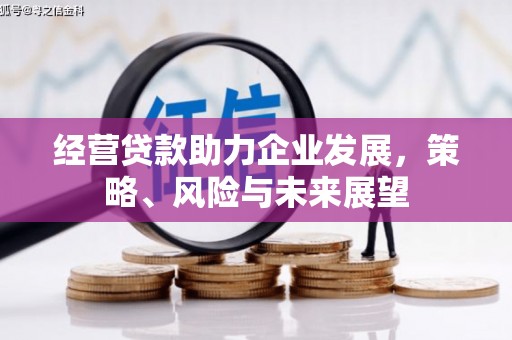 洋县经营贷款助力企业发展，策略、风险与未来展望