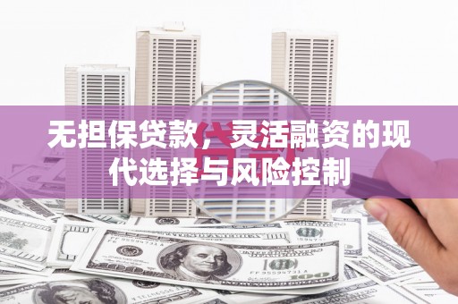 洋县无担保贷款，灵活融资的现代选择与风险控制