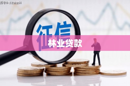 洋县林业贷款