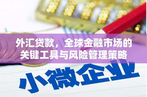 洋县外汇贷款，全球金融市场的关键工具与风险管理策略