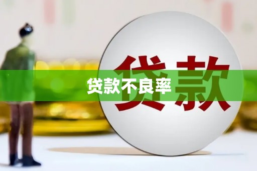 洋县贷款不良率