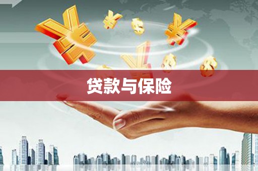 洋县贷款与保险