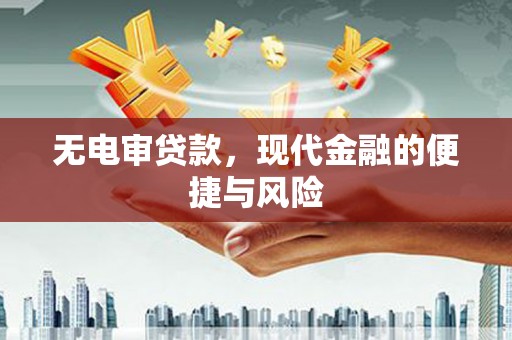洋县无电审贷款，现代金融的便捷与风险