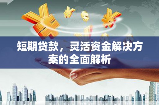 洋县短期贷款，灵活资金解决方案的全面解析