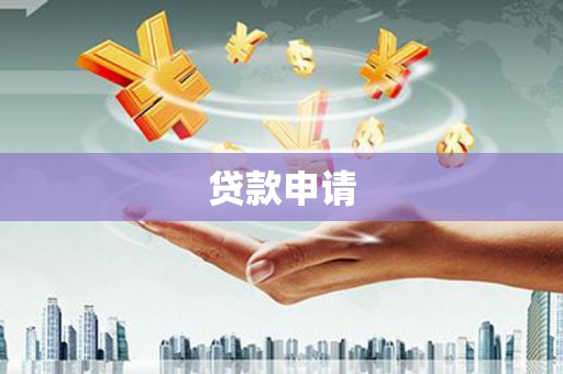 洋县贷款申请