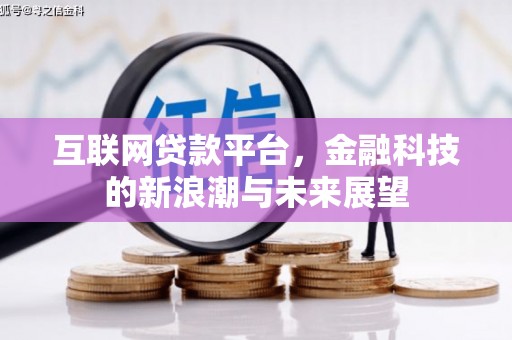 洋县互联网贷款平台，金融科技的新浪潮与未来展望